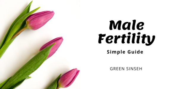 A Guide To Male Fertility - Green Sinseh